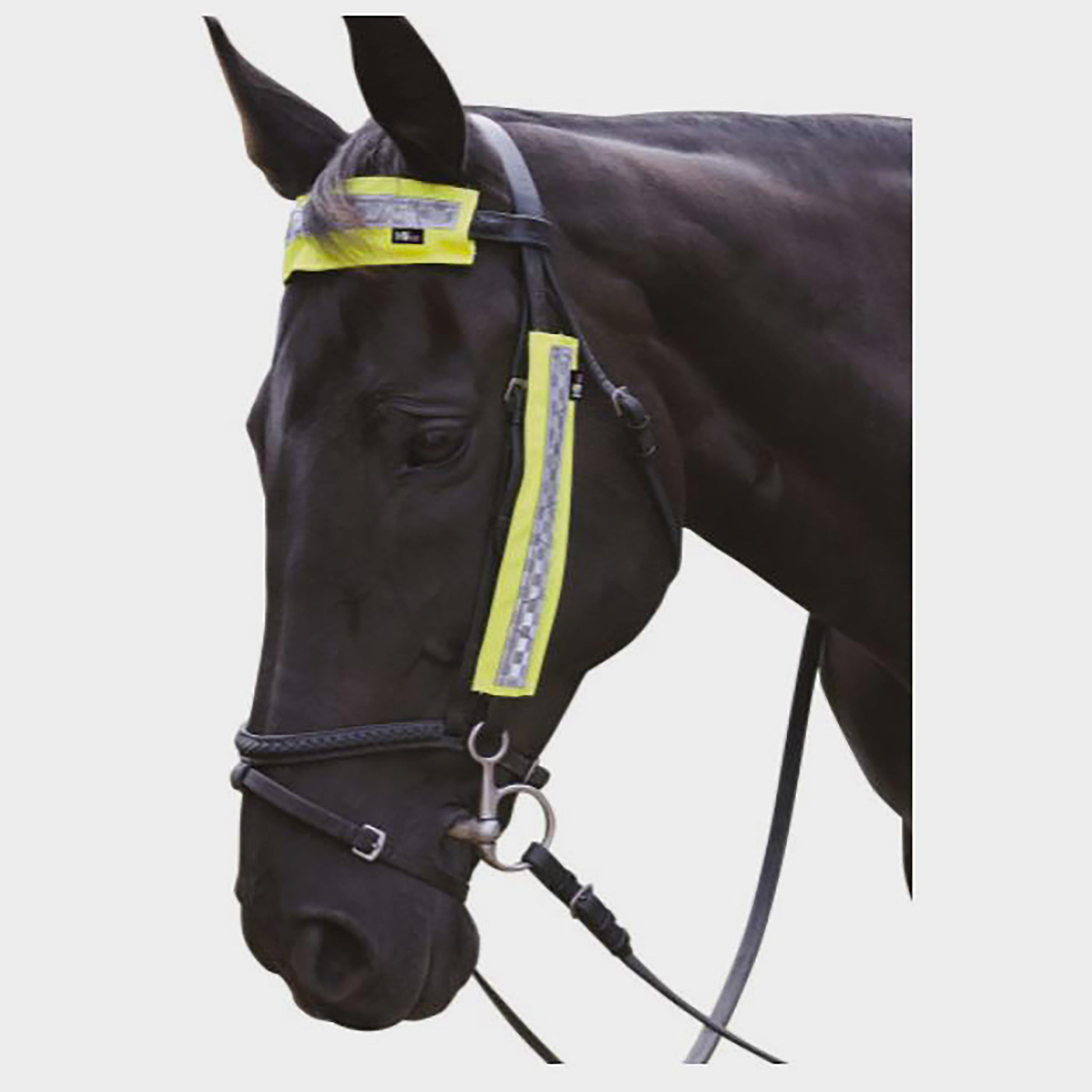HyVIZ Bridle Set Yellow