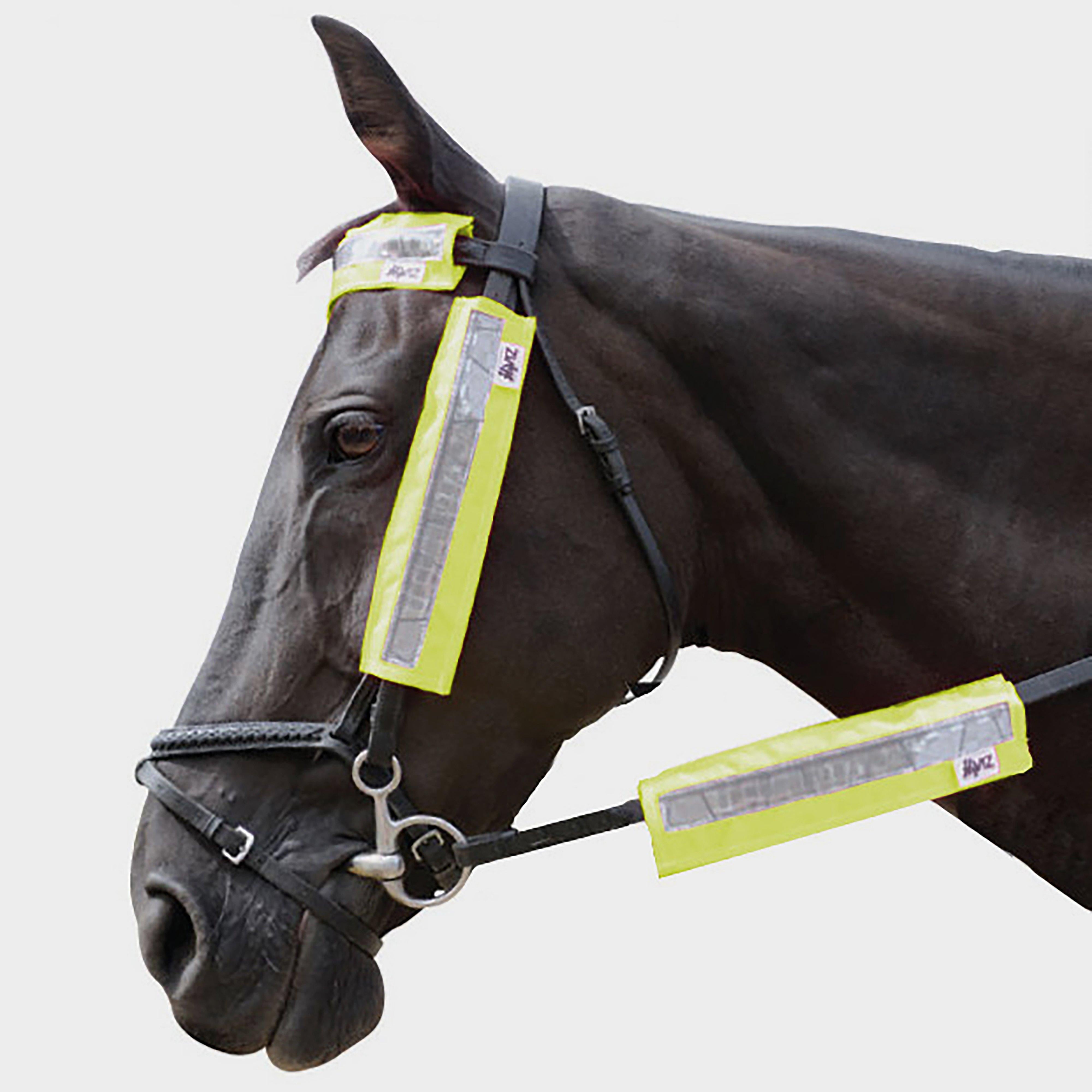 HyVIZ Bridle Set Yellow