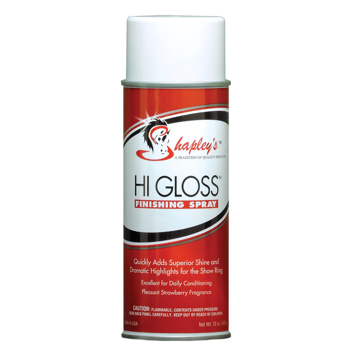 Hi Gloss Finishing Spray 284ml