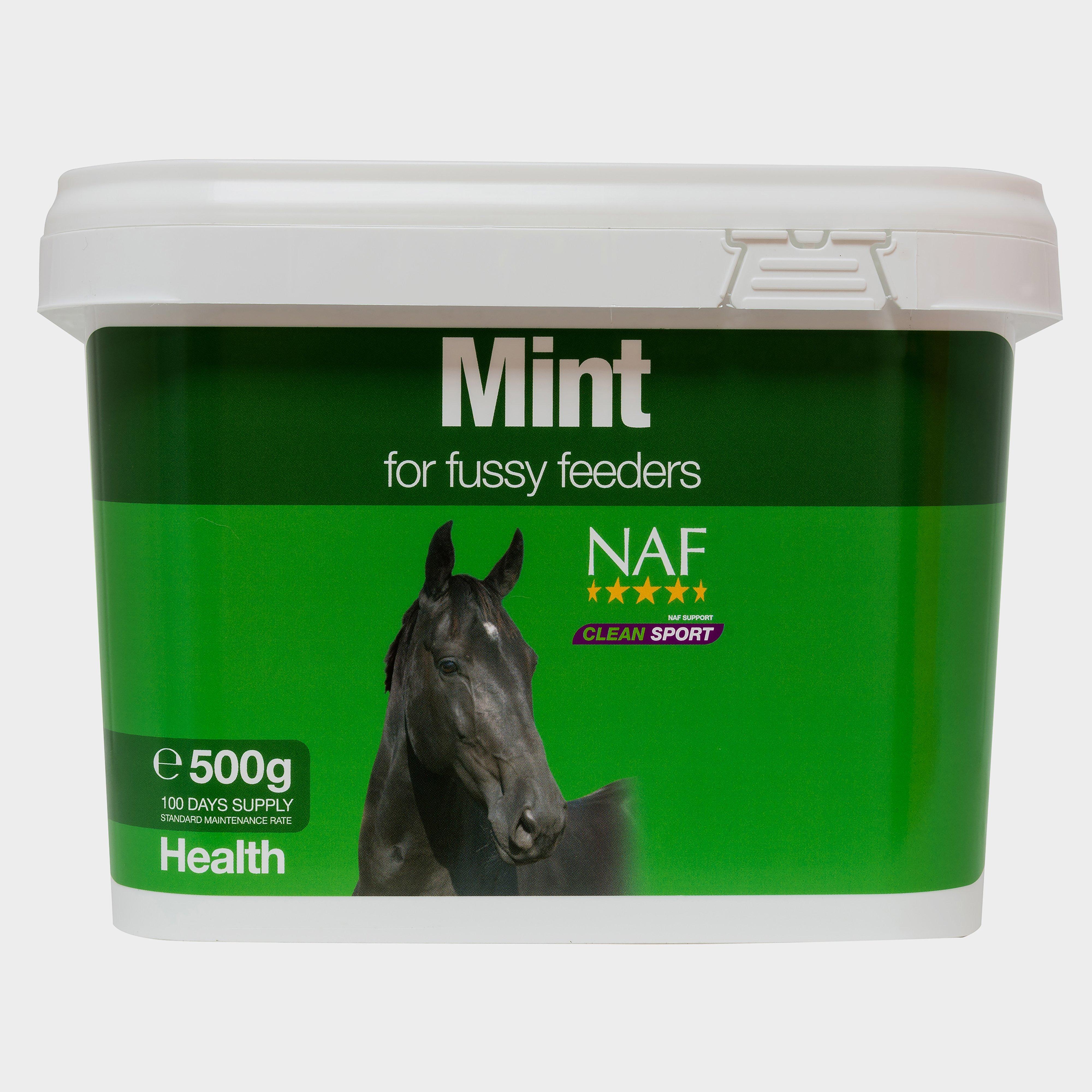Mint Supplement 500g