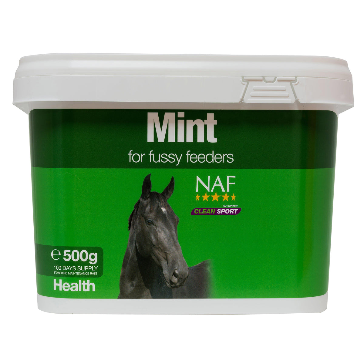 Mint Supplement 500g