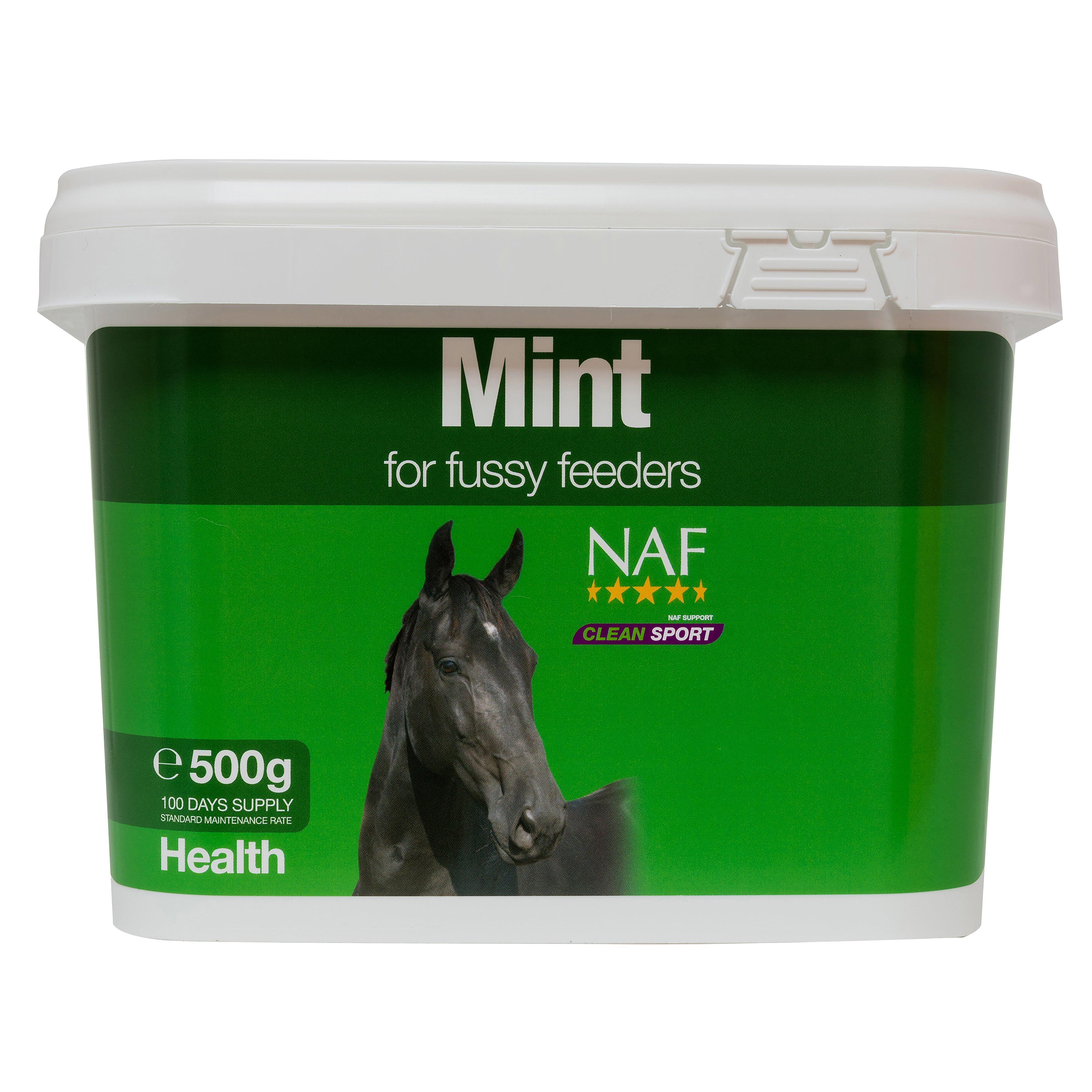 Mint Supplement 500g