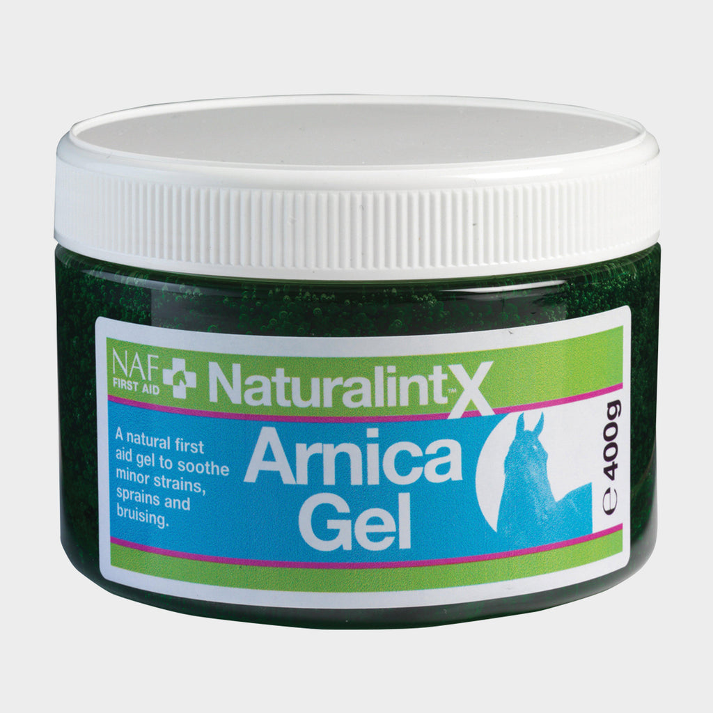Arnica Gel 400g