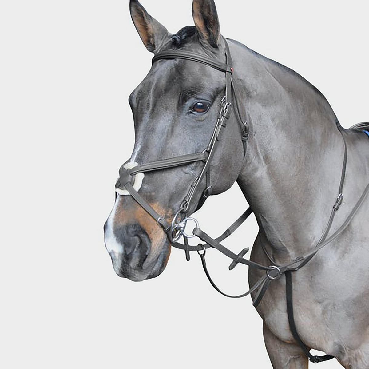 Ready To Ride Running Martingale Black