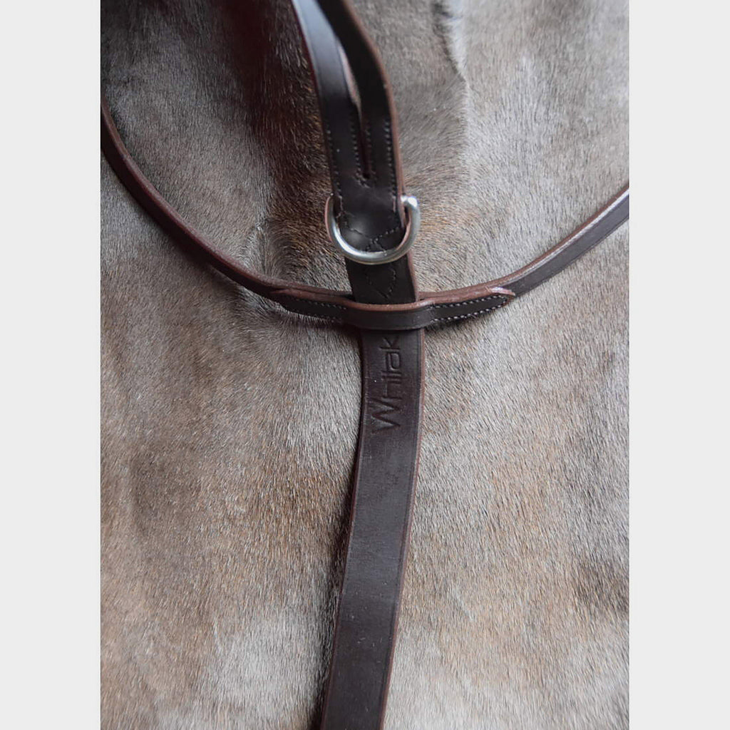 Ready To Ride Running Martingale Havana