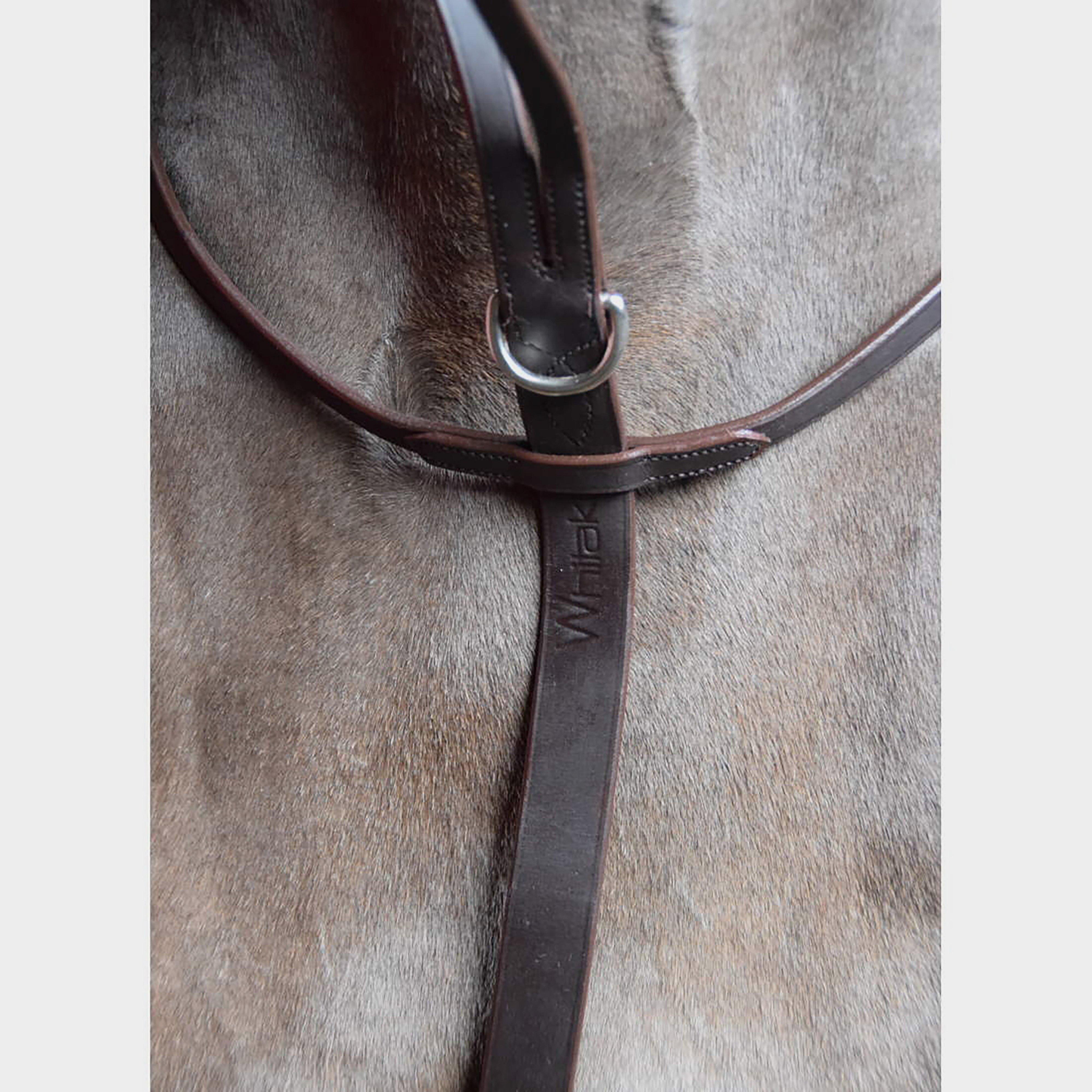 Ready To Ride Running Martingale Havana