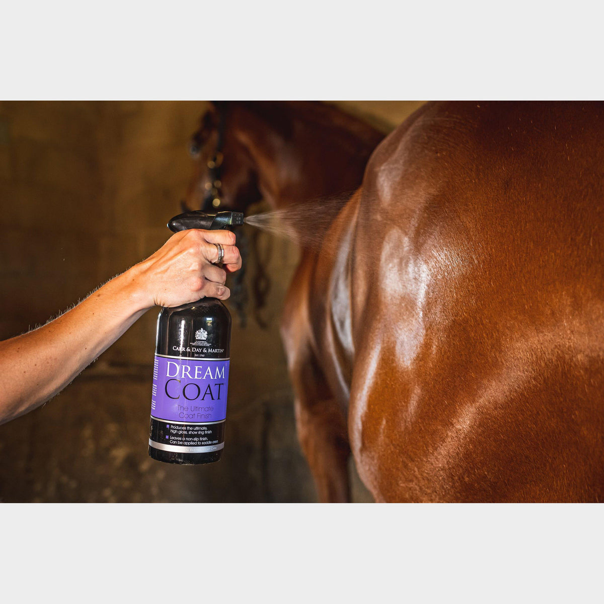 Dreamcoat Ultimate Coat Finish