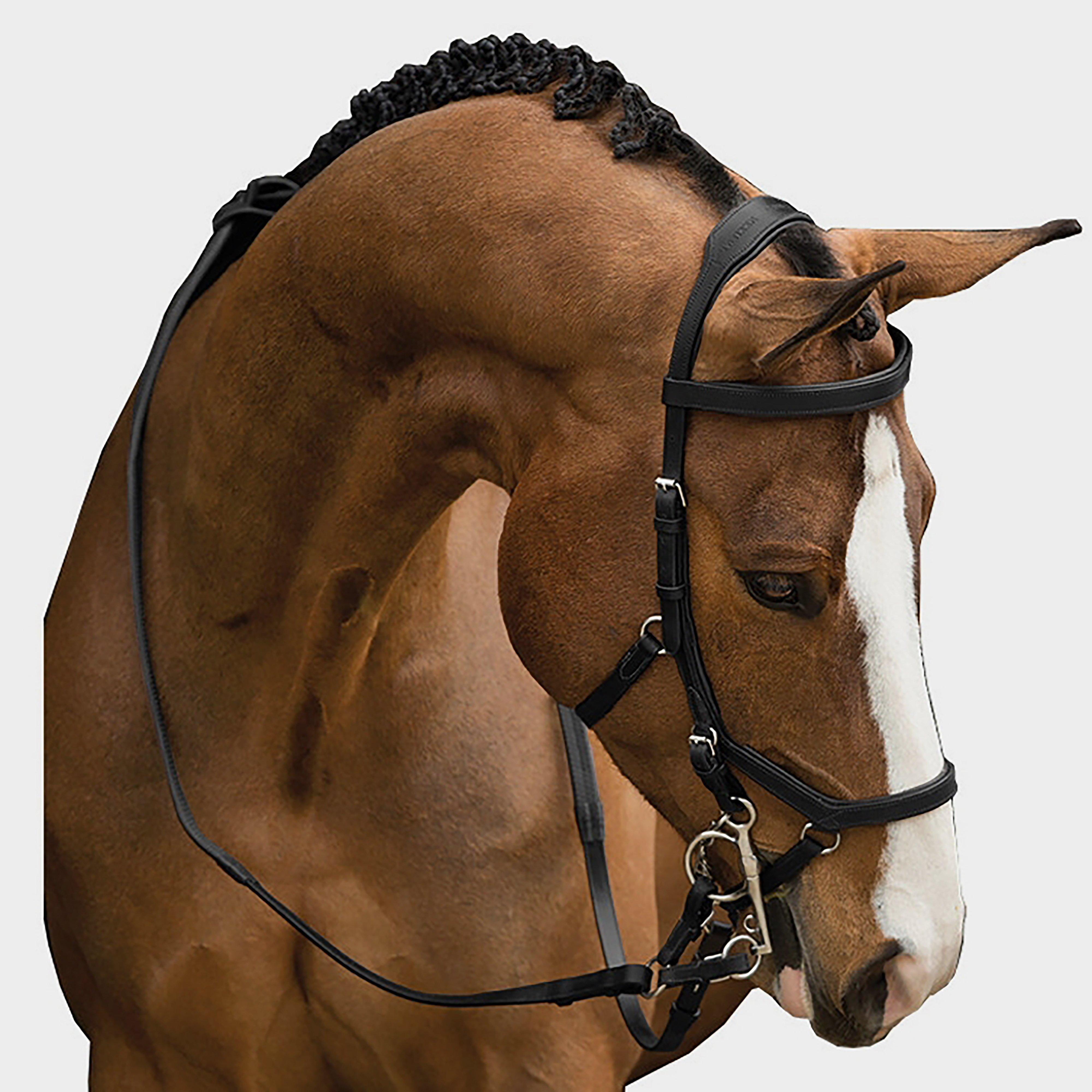 Rambo Micklem Original Competition Bridle Black