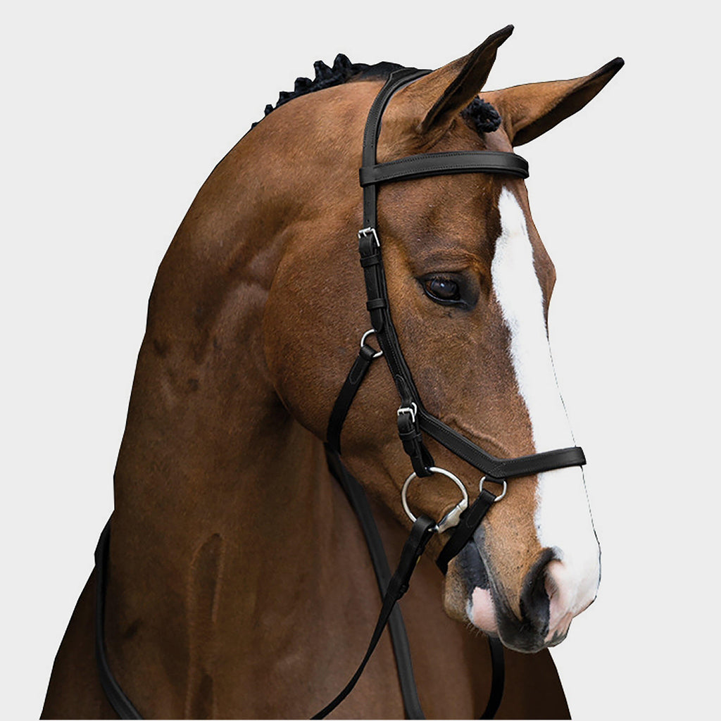 Rambo® Micklem® Multibridle Black