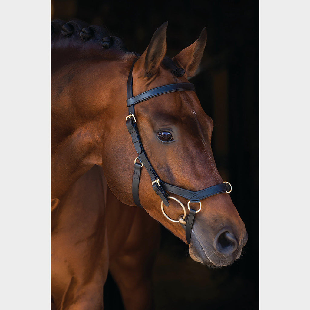 Rambo® Micklem® Multibridle Black