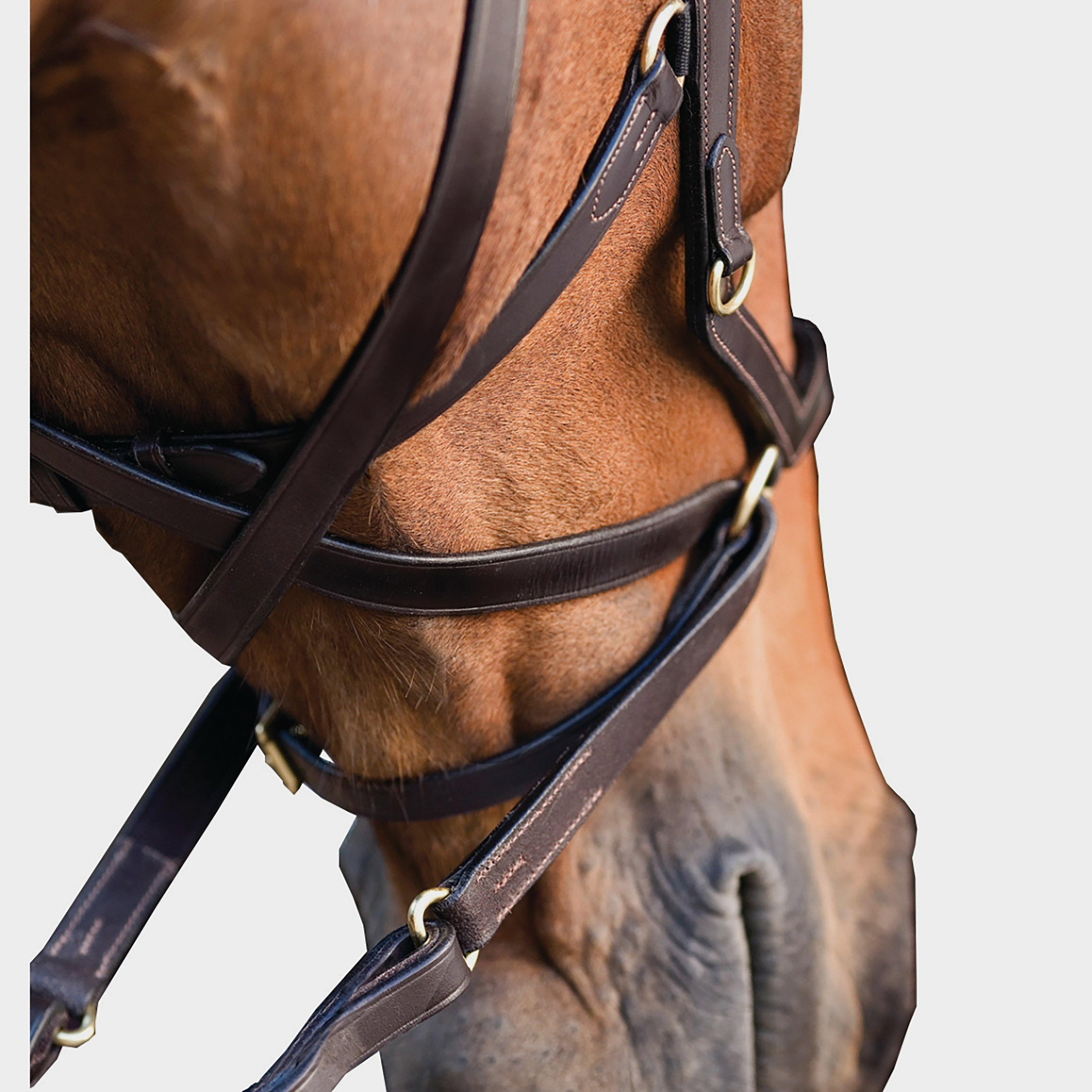 Rambo Micklem Multibridle Brown