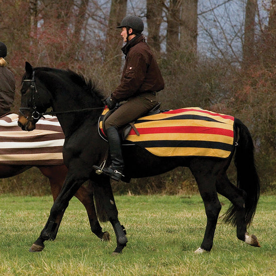 Rambo Newmarket Competition Fleece Gold