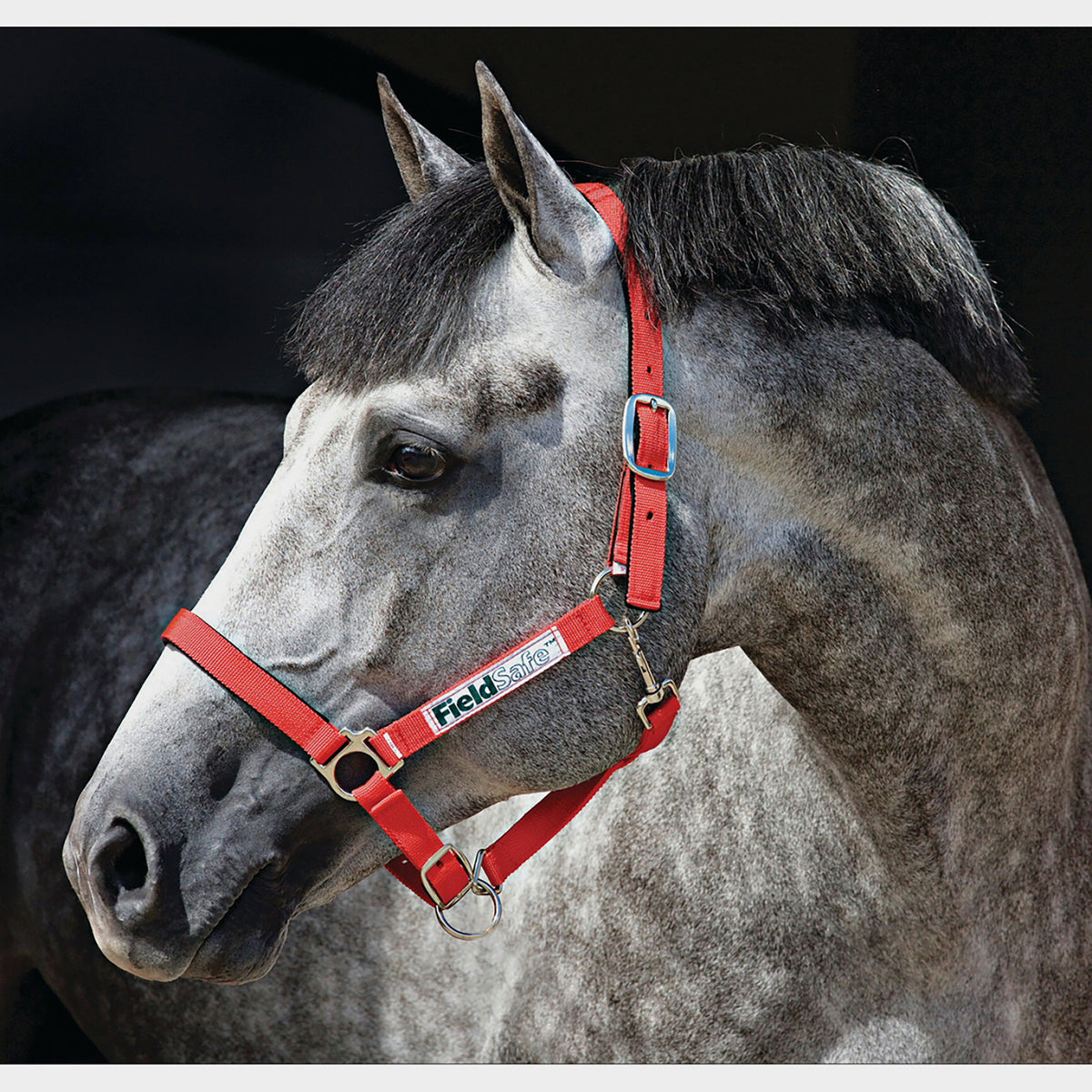 Rambo Fieldsafe Headcollar Red