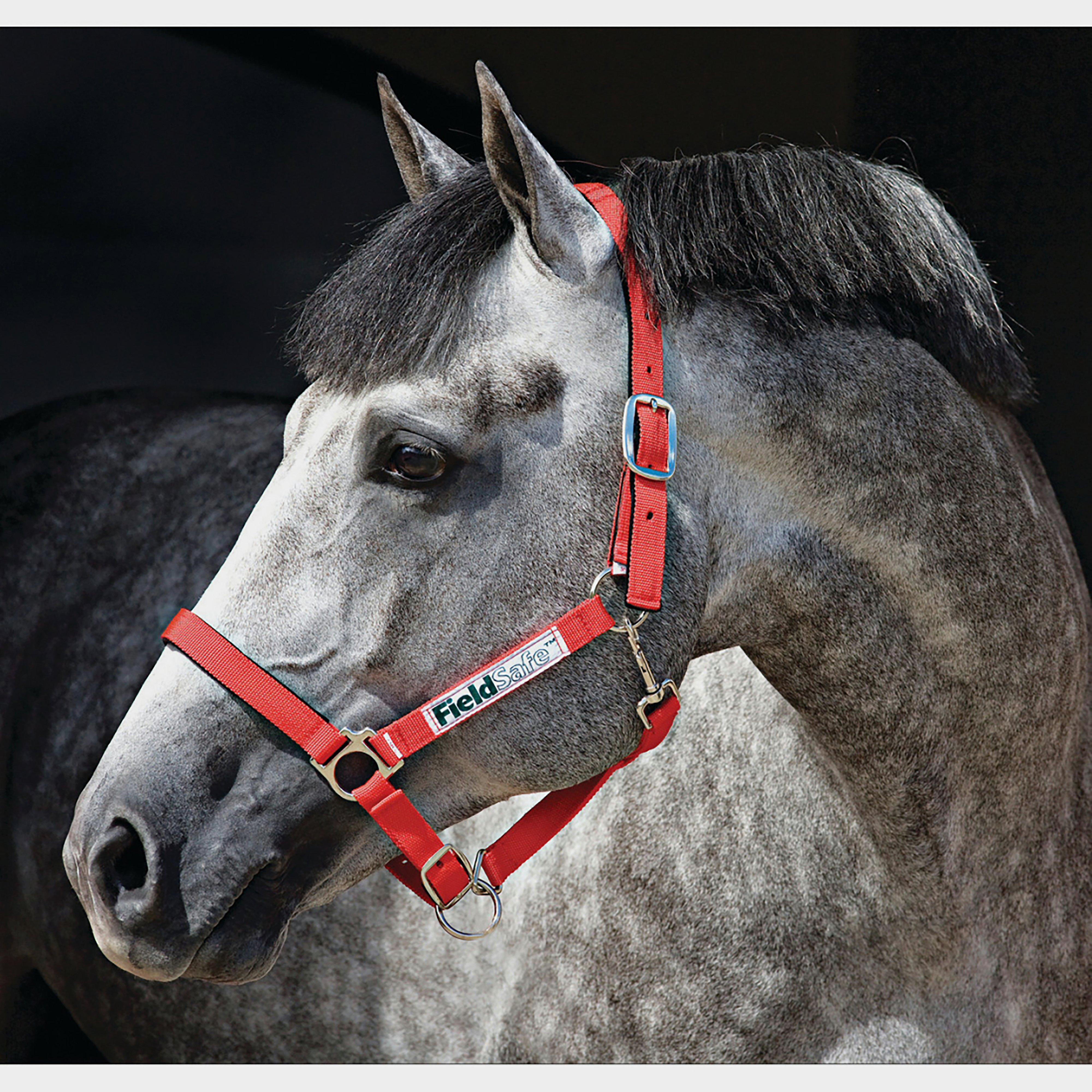 Rambo Fieldsafe Headcollar Red
