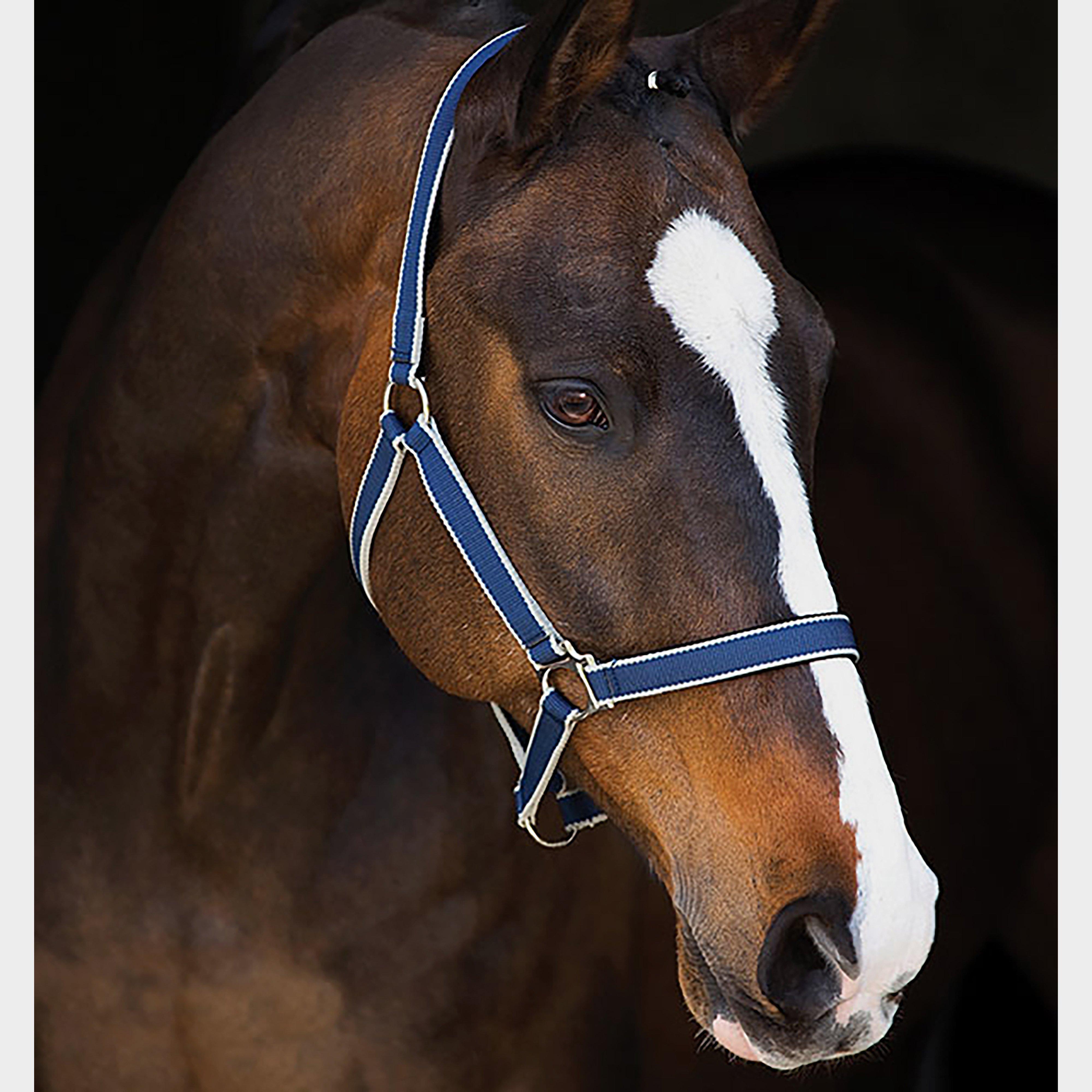 Amigo® Headcollar in Navy/Silver