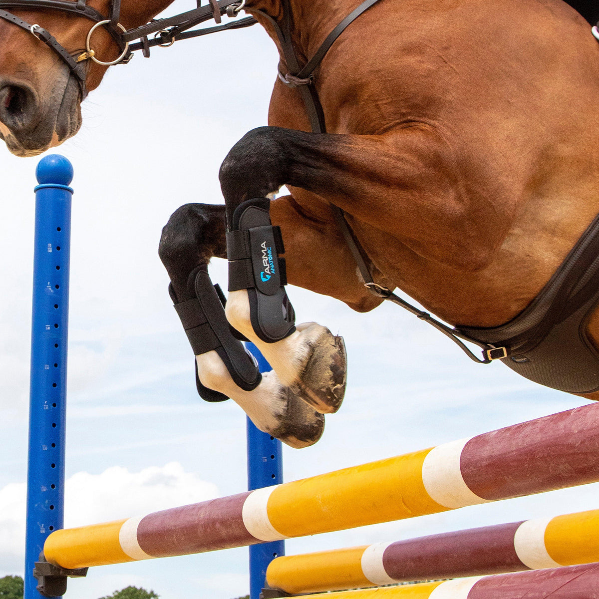 Tendon Boots Black Cob