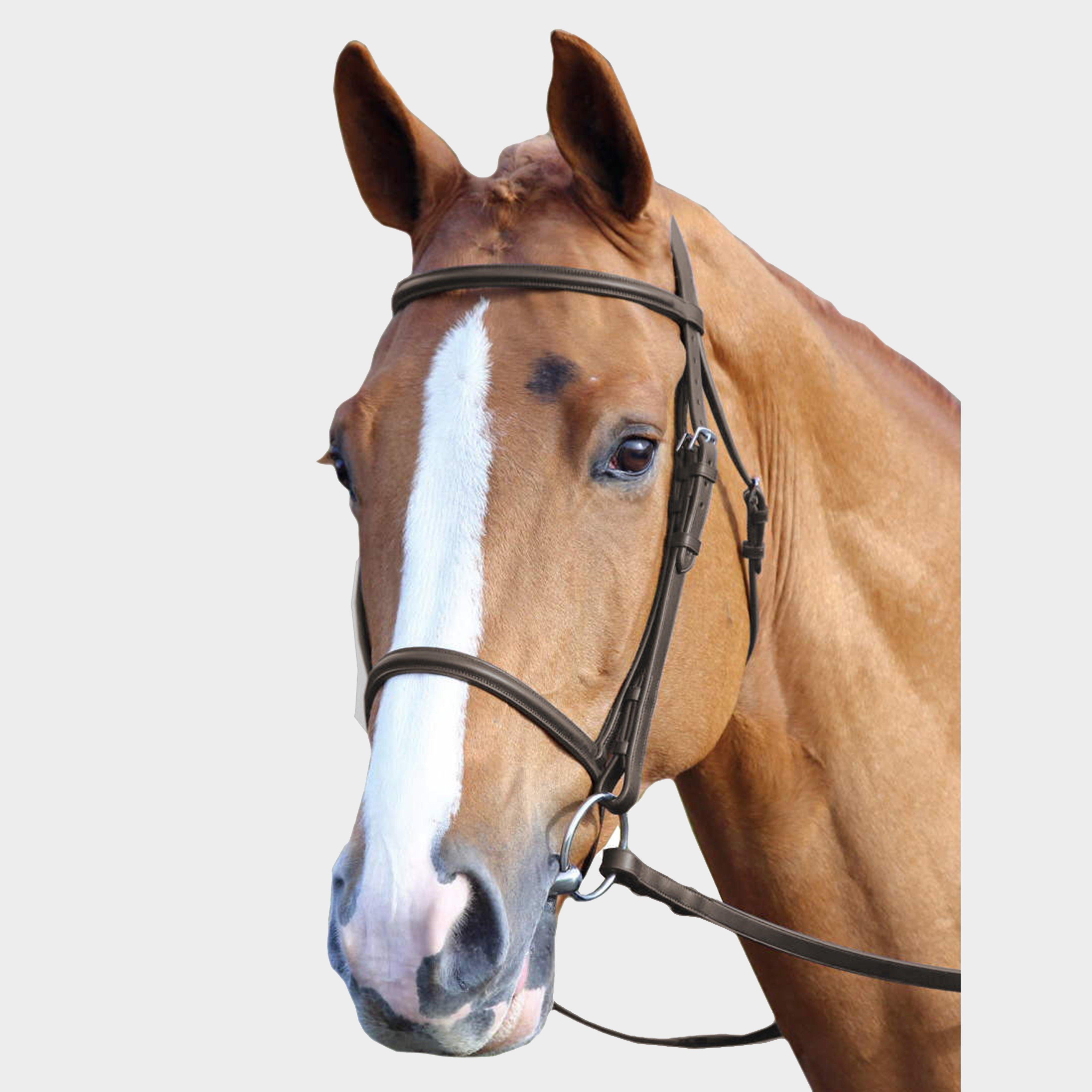 GARA Raised Cavesson Bridle Havana