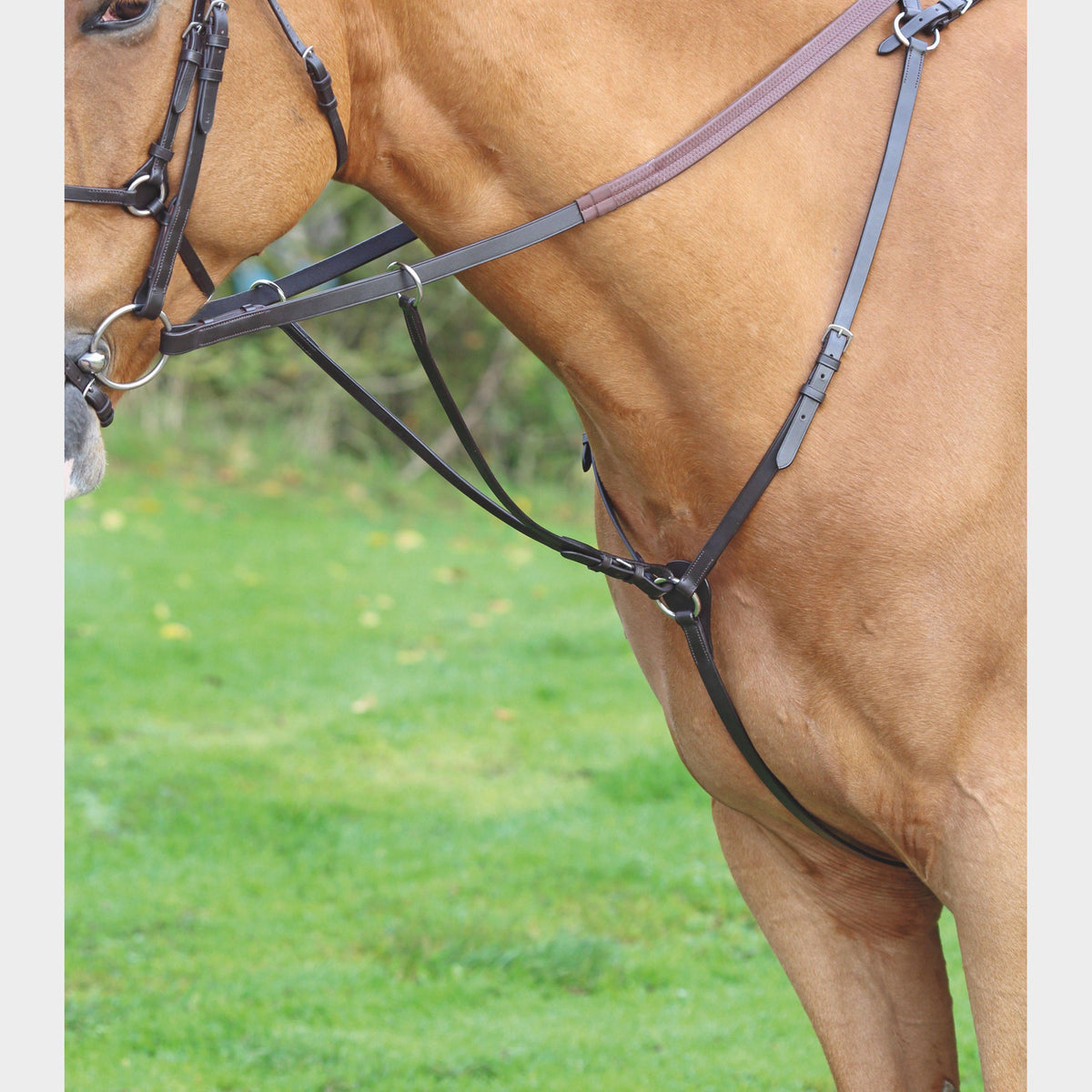 GARA Hunt Weight Breastplate Havana