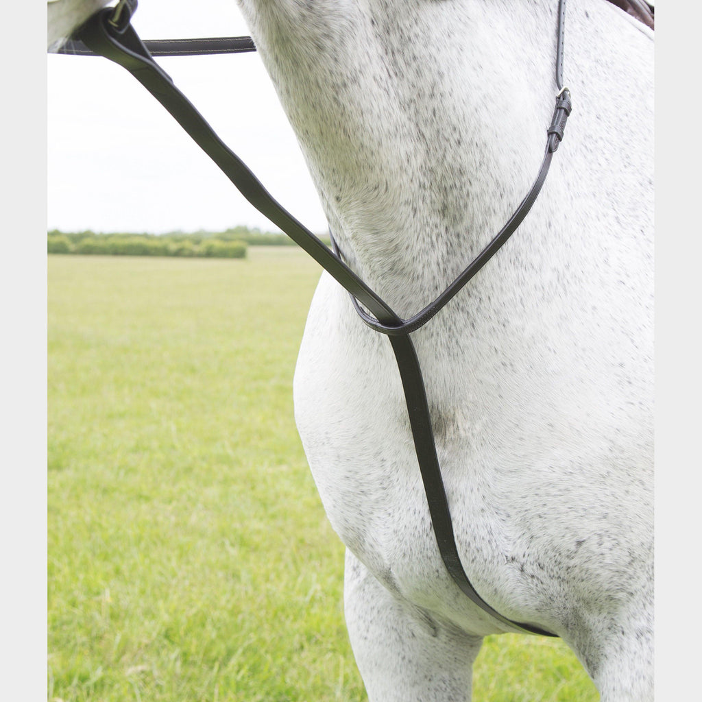 GARA Standing Martingale Havana