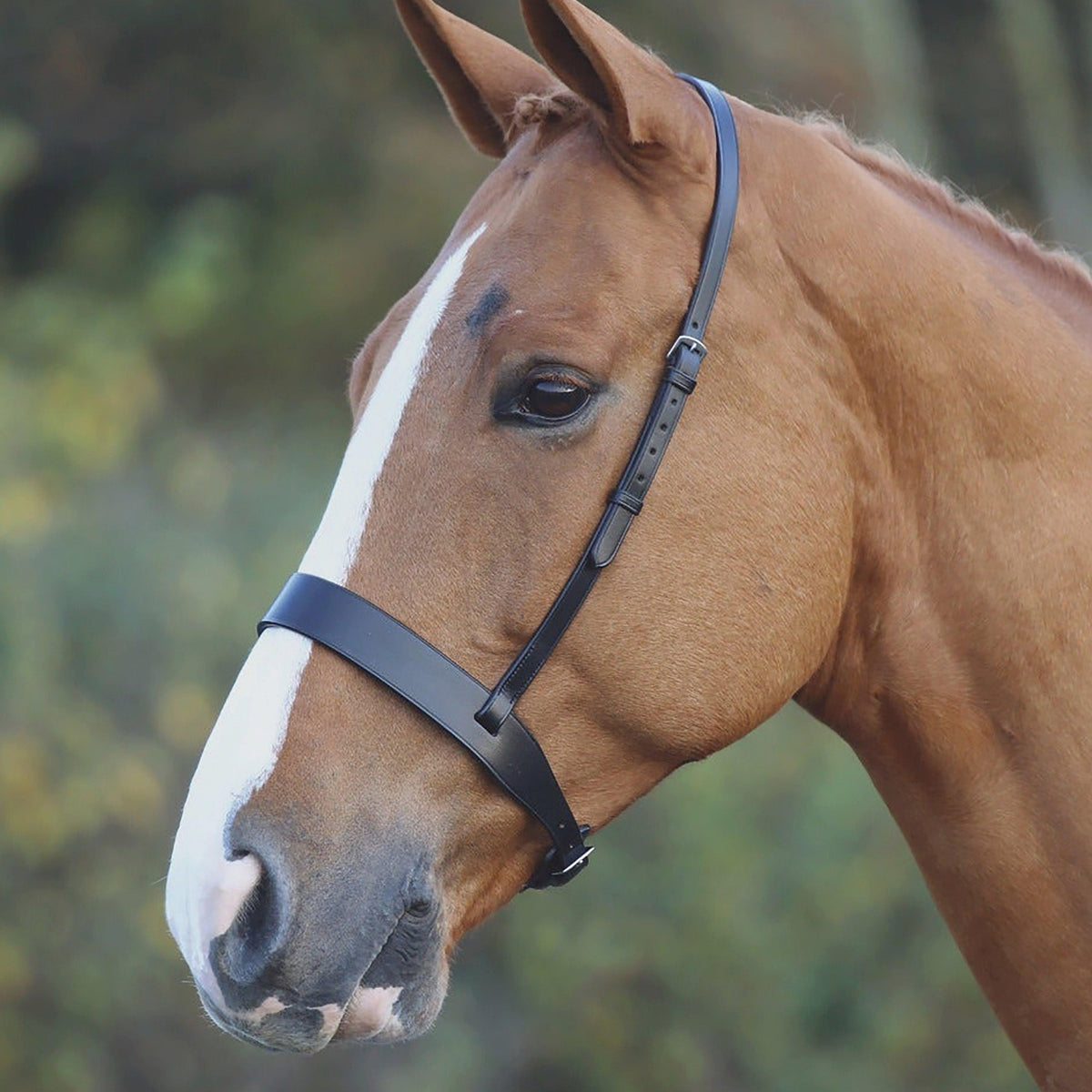 GARA Cavesson Hunt Noseband Black
