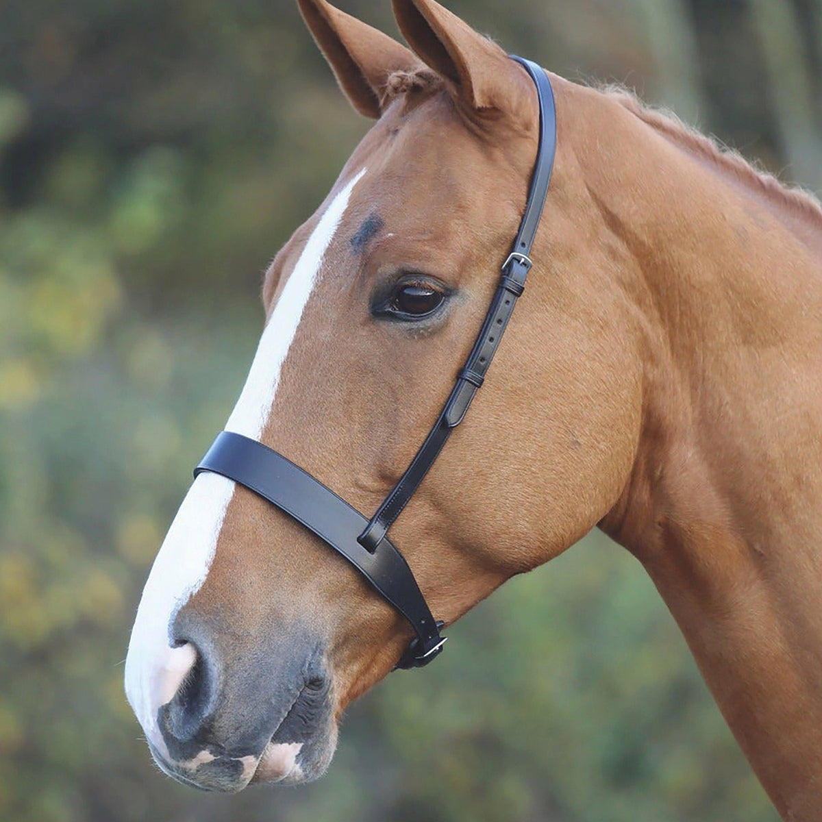 GARA Cavesson Hunt Noseband Black