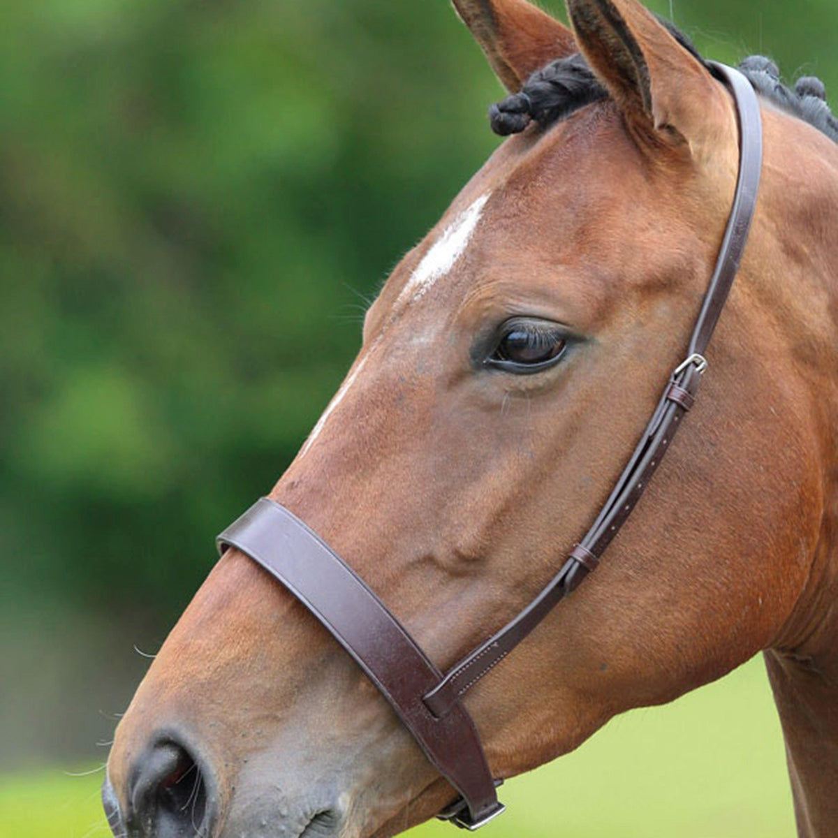 GARA Cavesson Hunt Noseband Brown