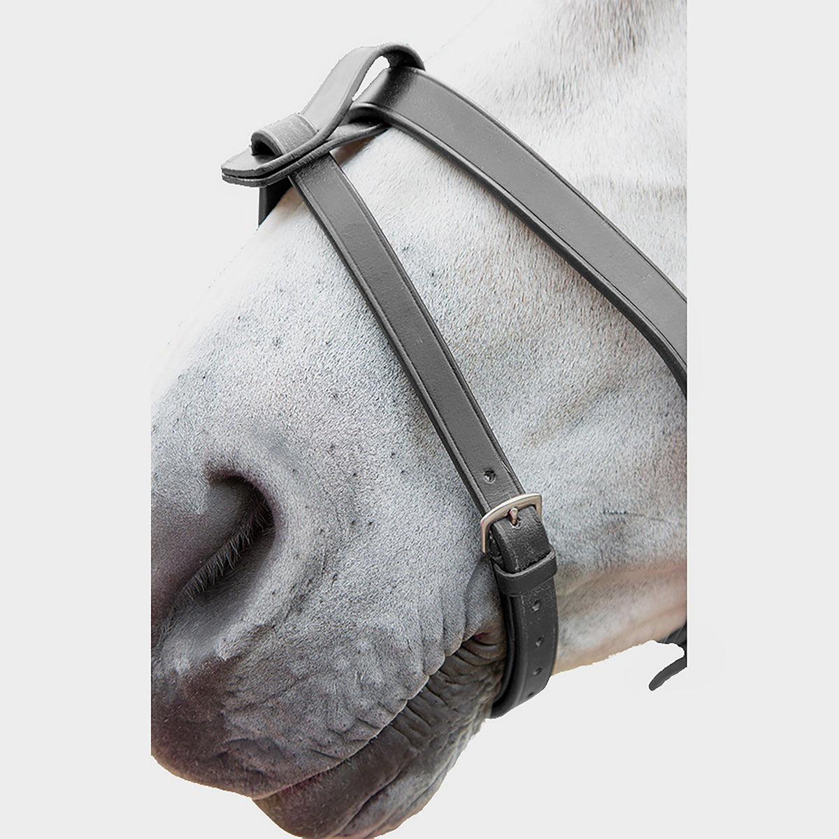 GARA Flash Attachment Black