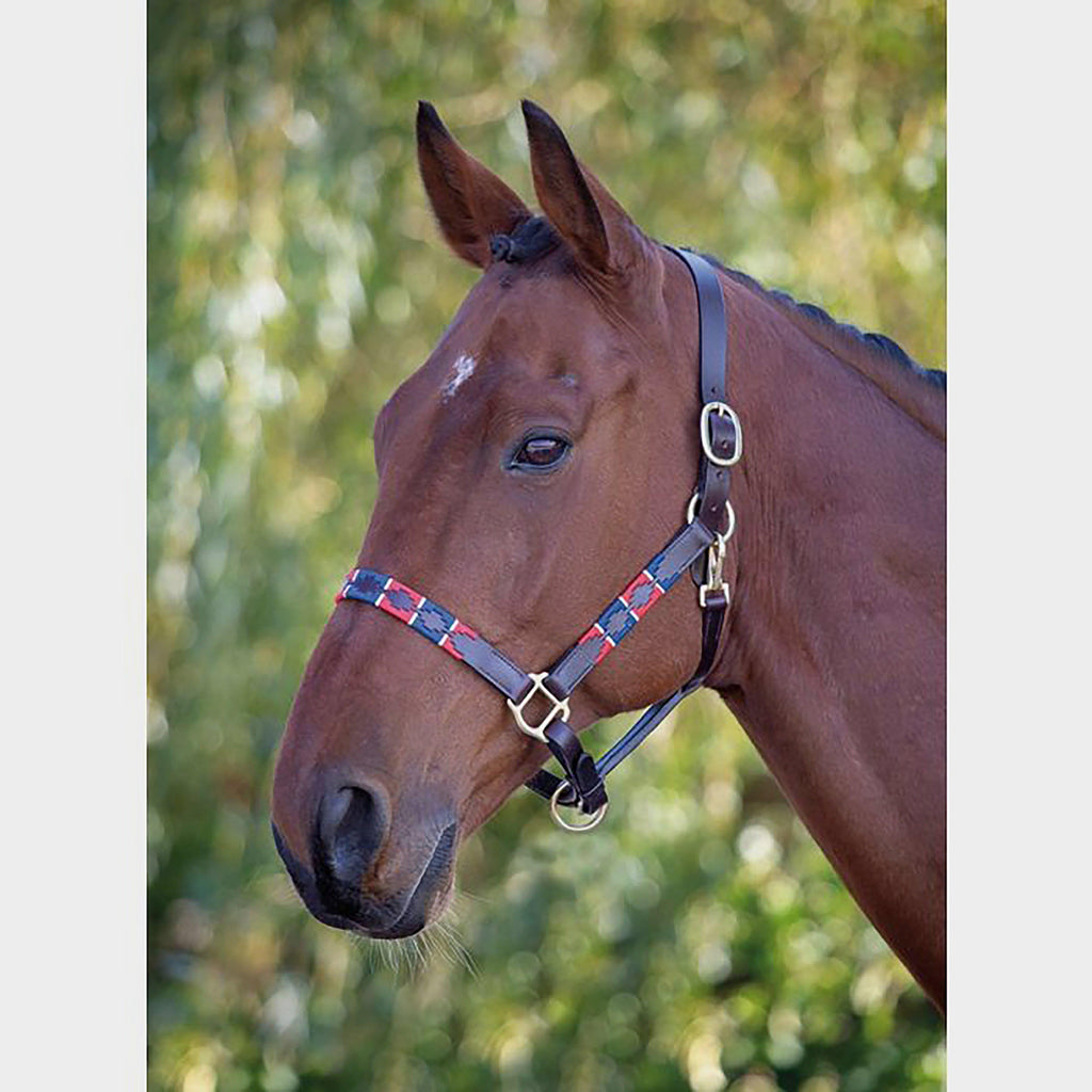 Blenheim Leather Polo Headcollar Red/Navy