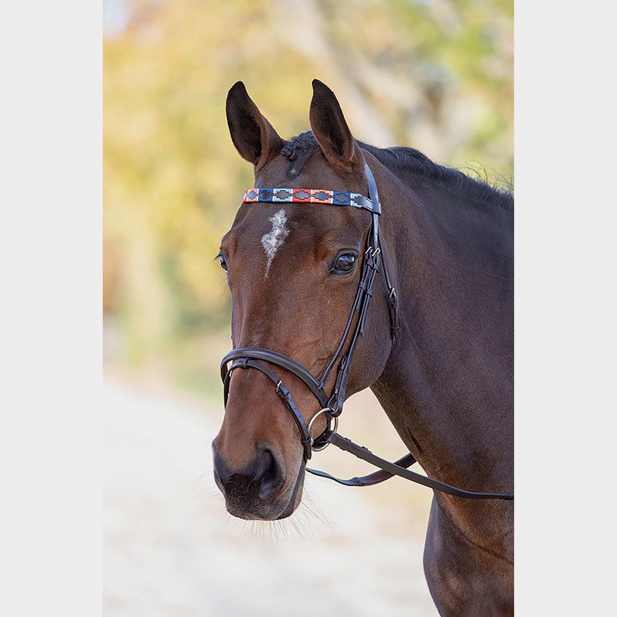 GARA Leather Polo Browband Turquoise/Red/Orange/Blue