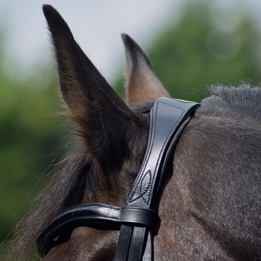 Dressage Flash Bridle Black