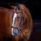 Ergonomic Flash Bridle Black