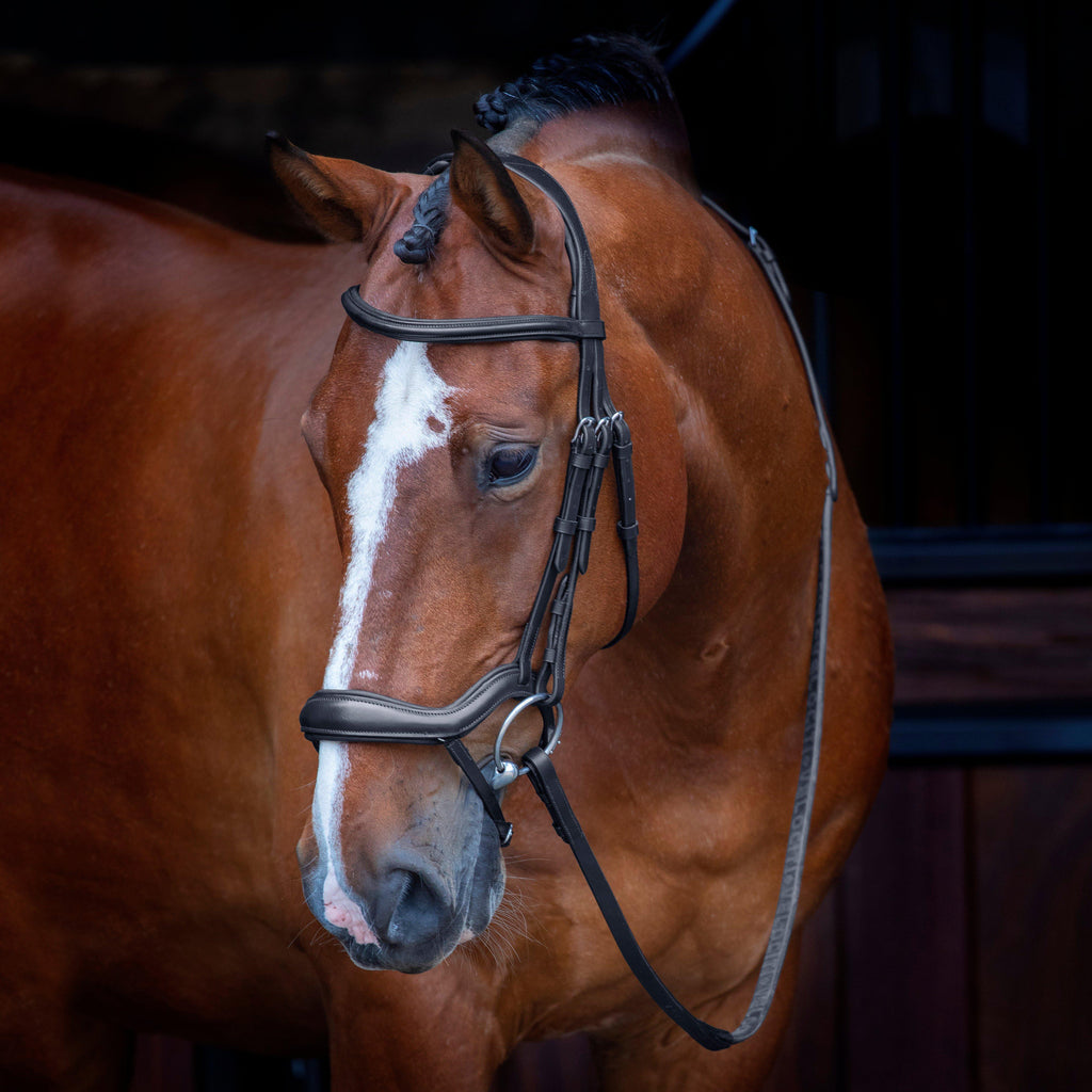 Ergonomic Flash Bridle Black