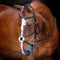 Velociti Rapida Grackle Bridle Black