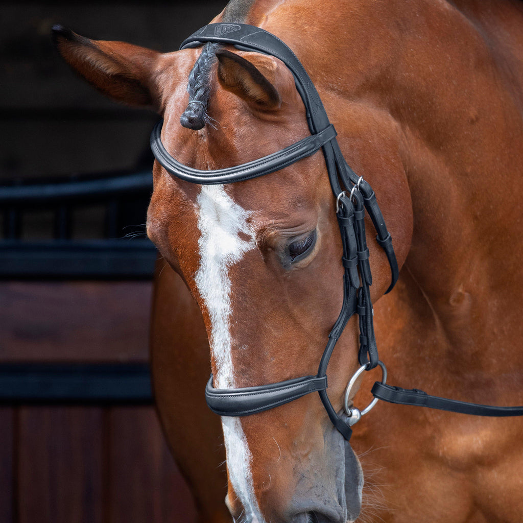 Rolled Padded Cavesson Bridle Black