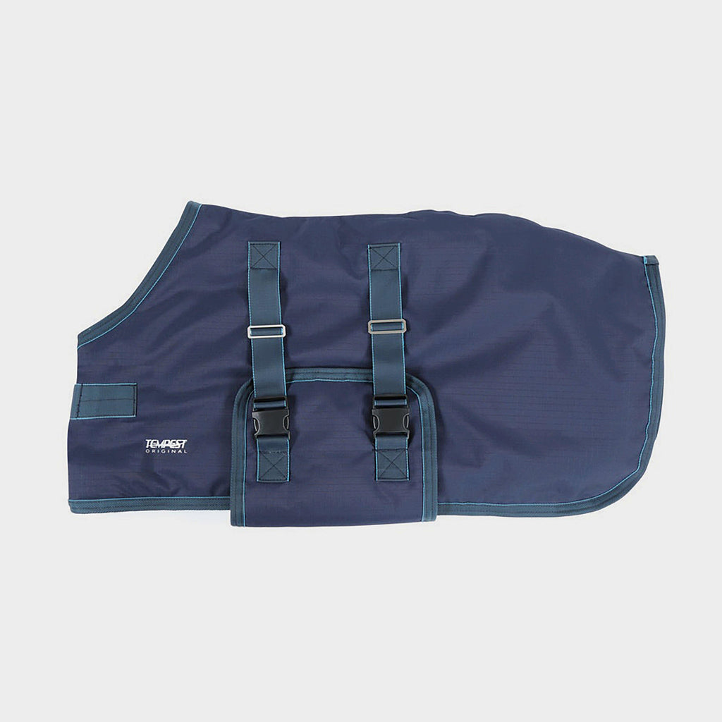 Tempest Foal Standard Neck 200g Medium Weight Turnout Rug Navy/Turquoise