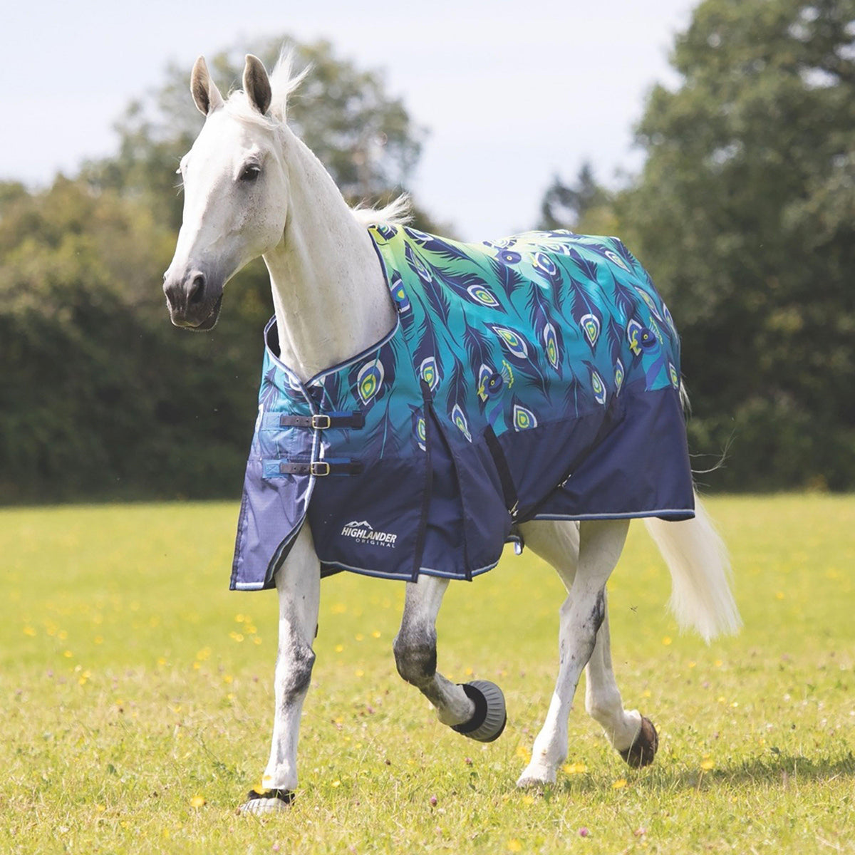 Highlander Original Lite 0g Standard Neck Turnout Rug Lime Peacock