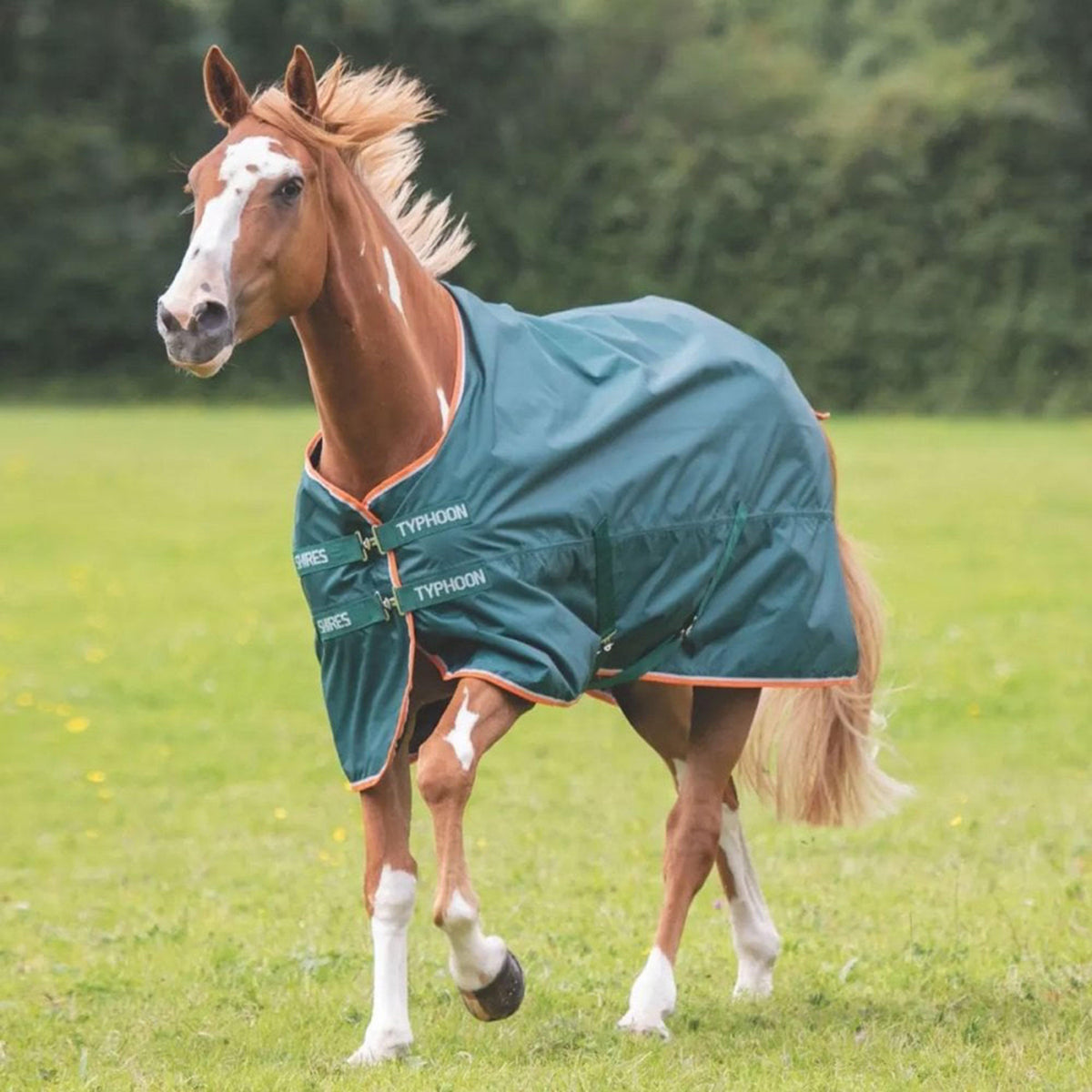 Typhoon Lite 0g Lightweight Standard Neck Turnout Rug Green