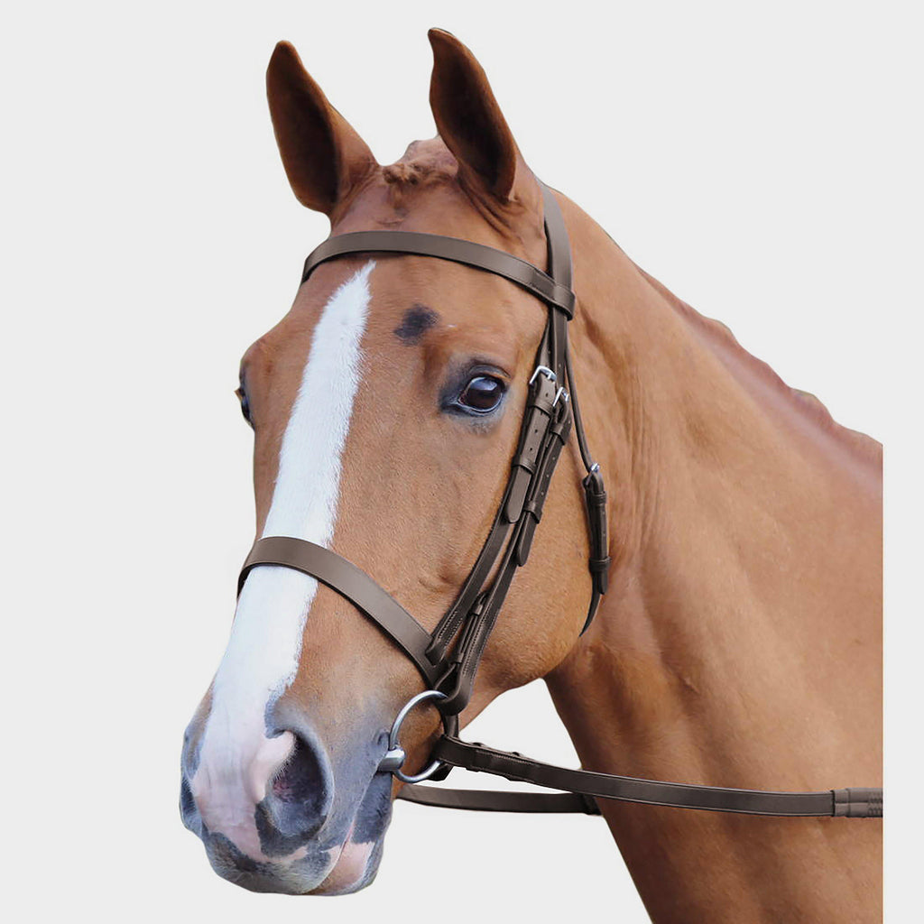 GARA Plain Bridle Havana