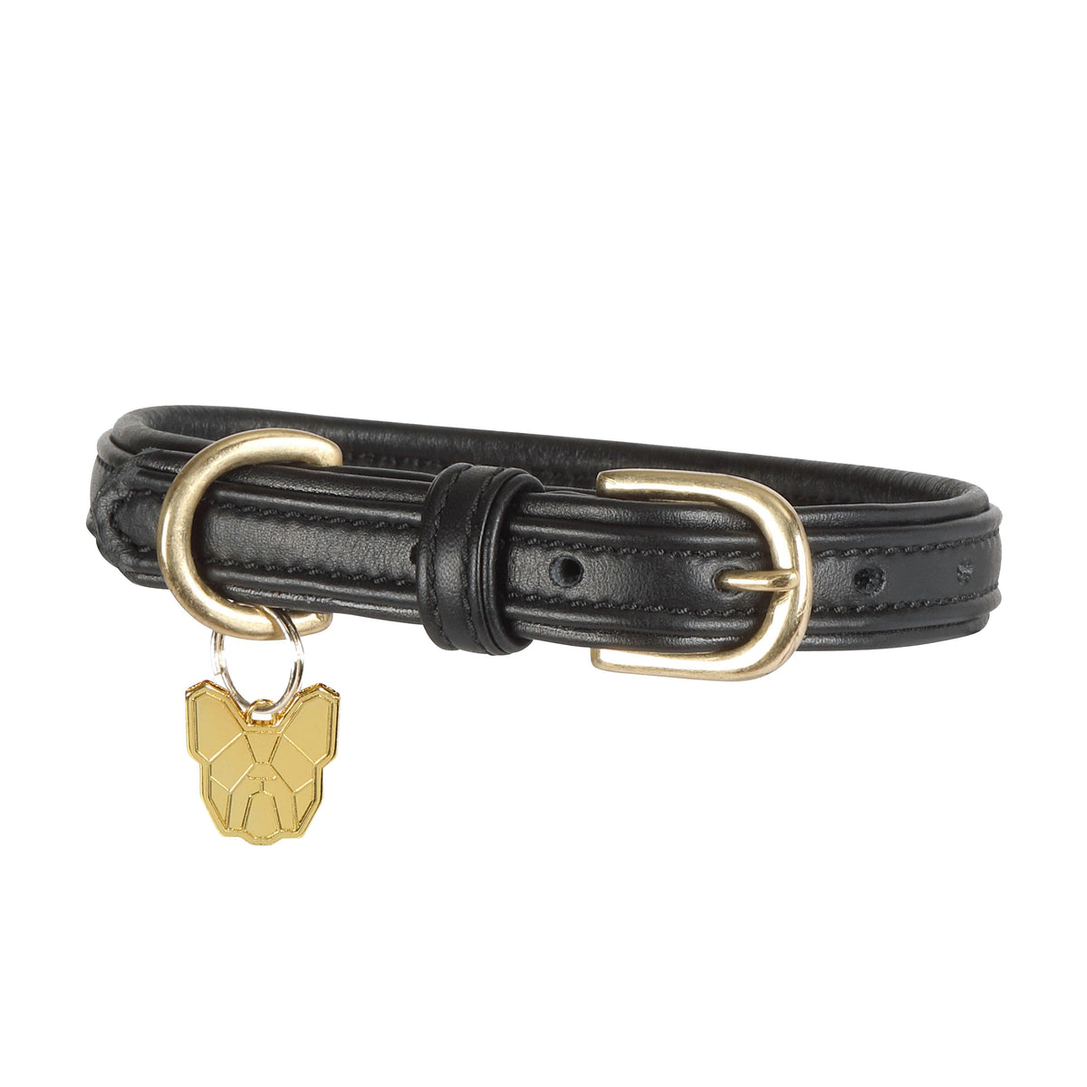 Padded Leather Dog Collar Black