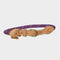 Reflective Dog Collar Purple