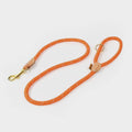 Reflective Dog Lead Orange