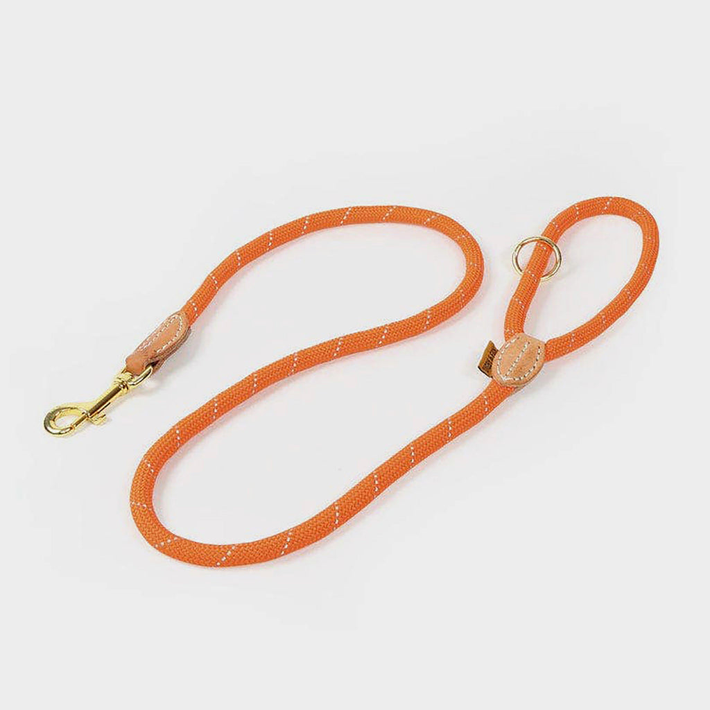 Reflective Dog Lead Orange