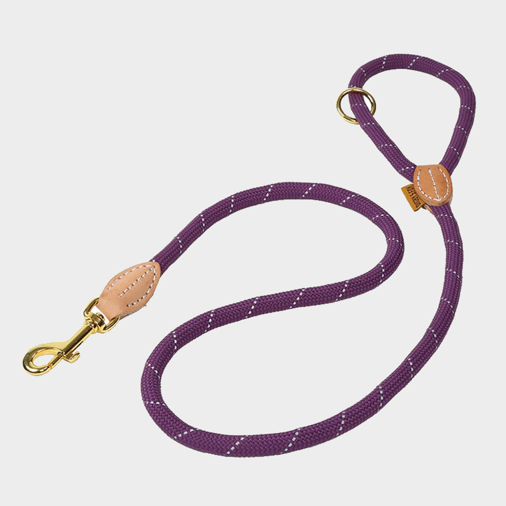 Reflective Dog Lead Purple