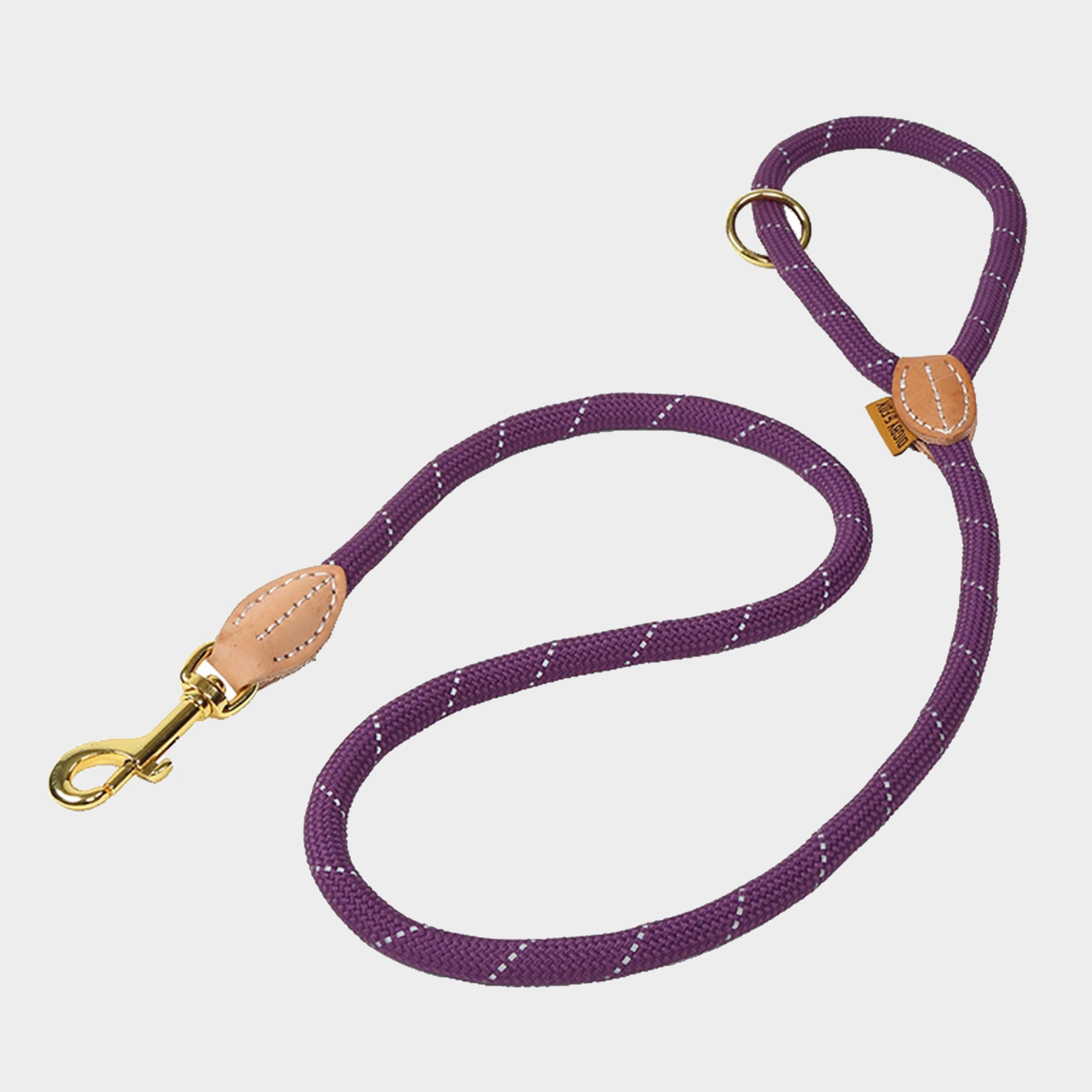 Reflective Dog Lead Purple