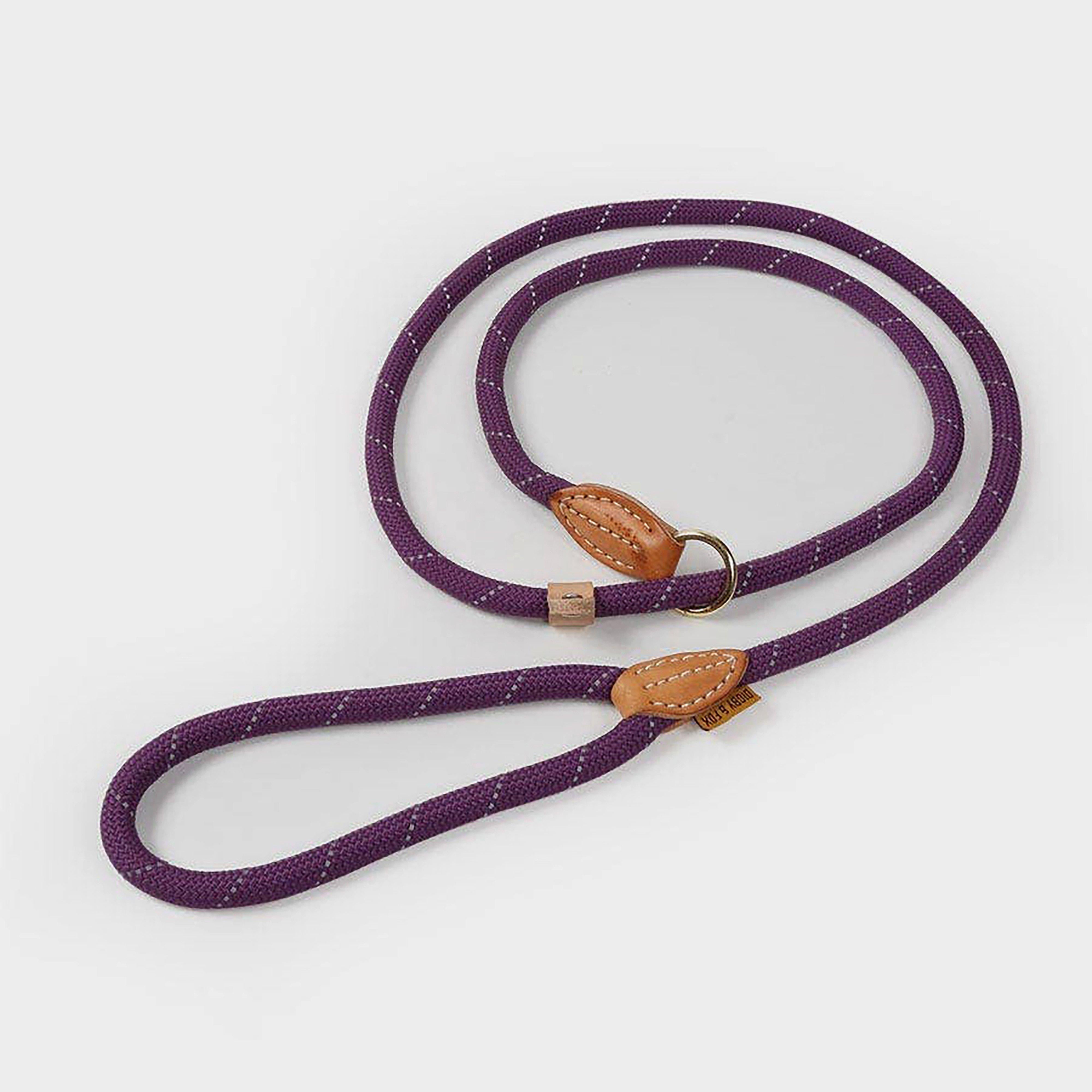 Reflective Slip Dog Lead Purple