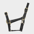 Nylon Headcollar Black