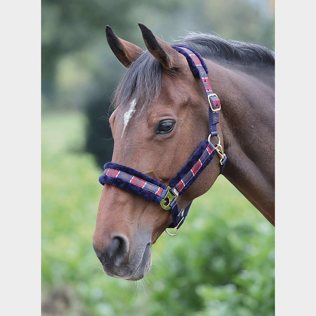 Shires Polo Fleece Lined Headcollar Red/Navy
