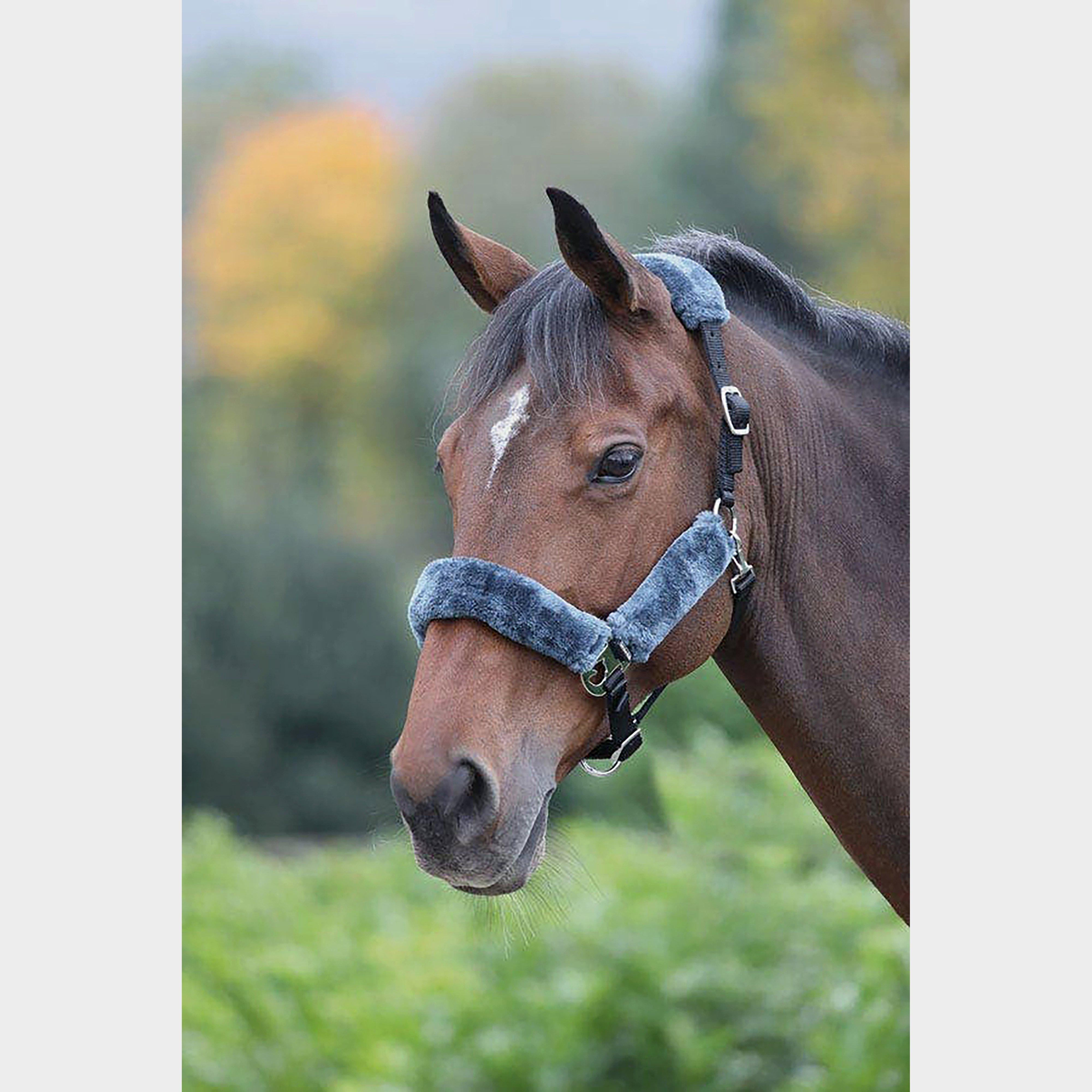 Fleece Lined Headcollar Black/Grey