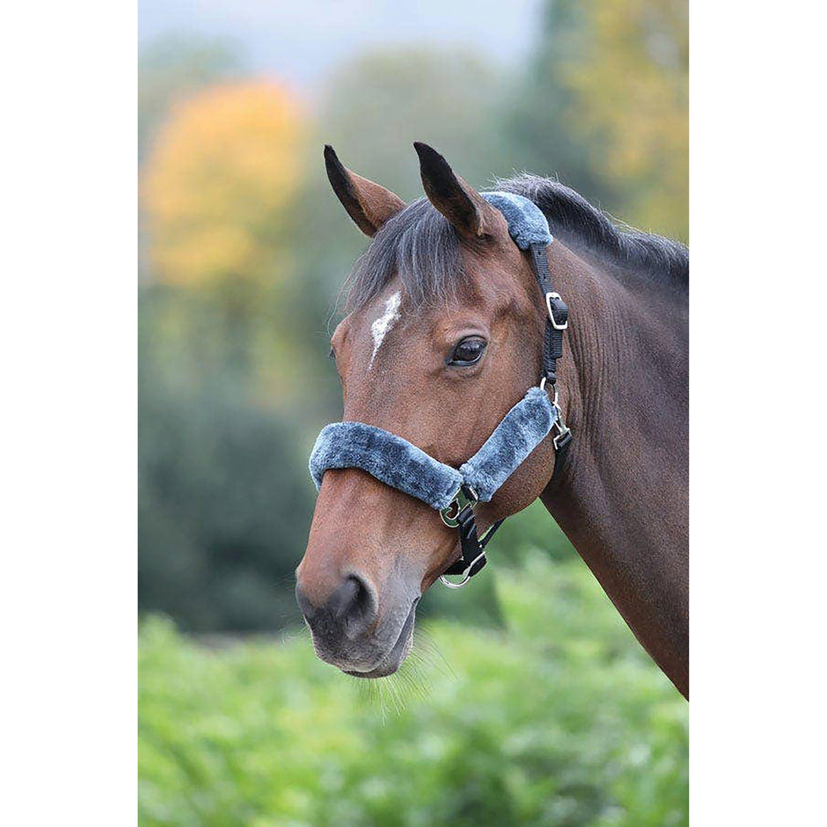 Fleece Lined Headcollar Black/Grey