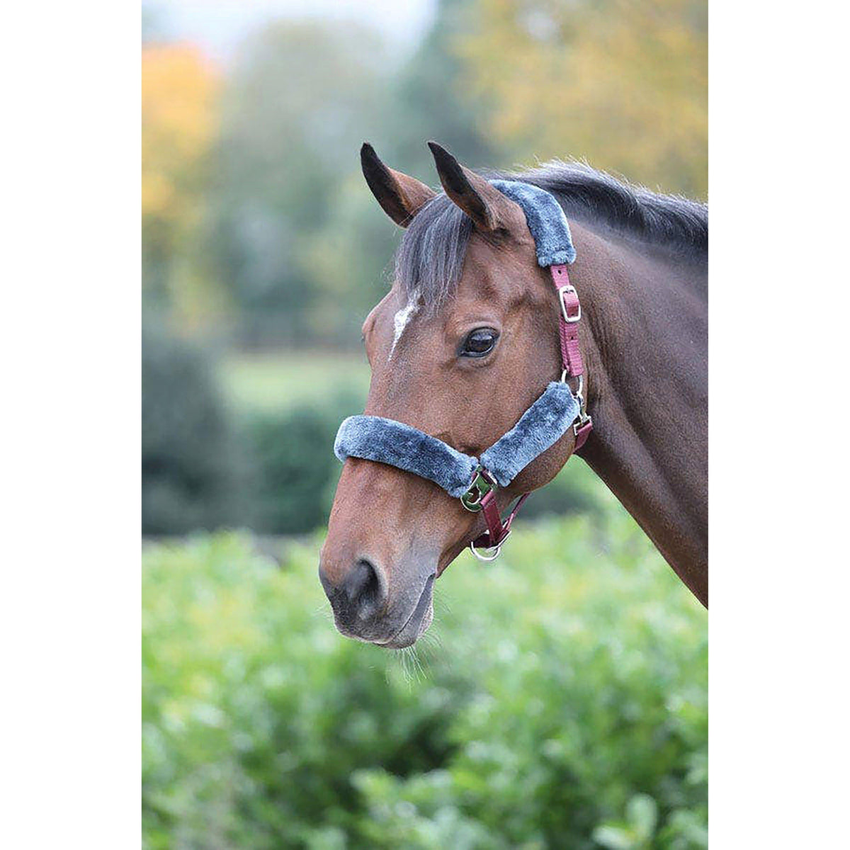 Fleece Lined Headcollar Burgundy/Grey